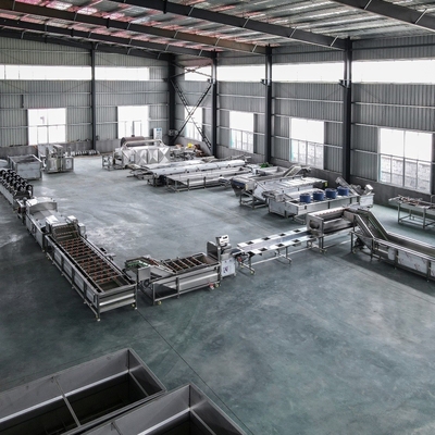 500 kg kommerzielle industrielle automatische Obstreinigungsmaschine / Gemüsewaschmaschine