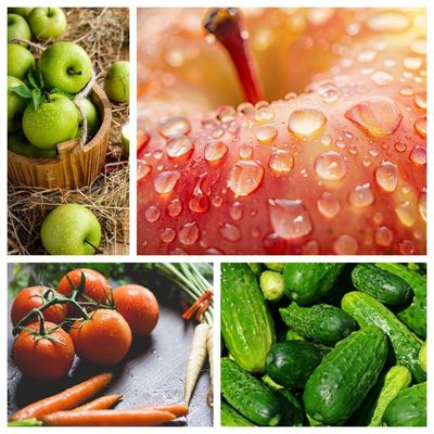 Anpassungsfähige industrielle Obst- und Gemüseputzmaschine für Großbetriebe
