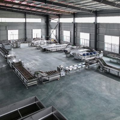 Anpassungsfähige Frucht- und Gemüseverarbeitungsmaschine aus Edelstahl für Profis