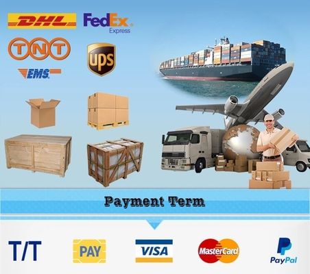 Kommerzielle Edelstahl-Elektrische automatische Fischrauchofen Der ultimative Raucher