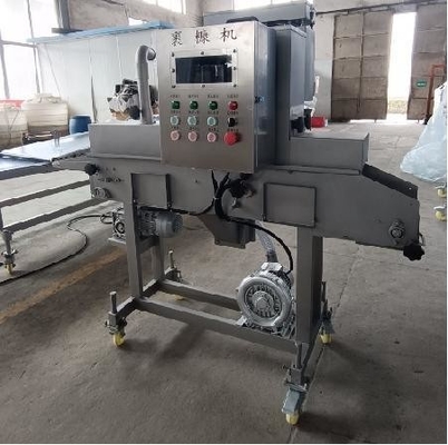 Automatische EPS-Brotfischverarbeitungslinie für individuell angepasste Produktionsanforderungen