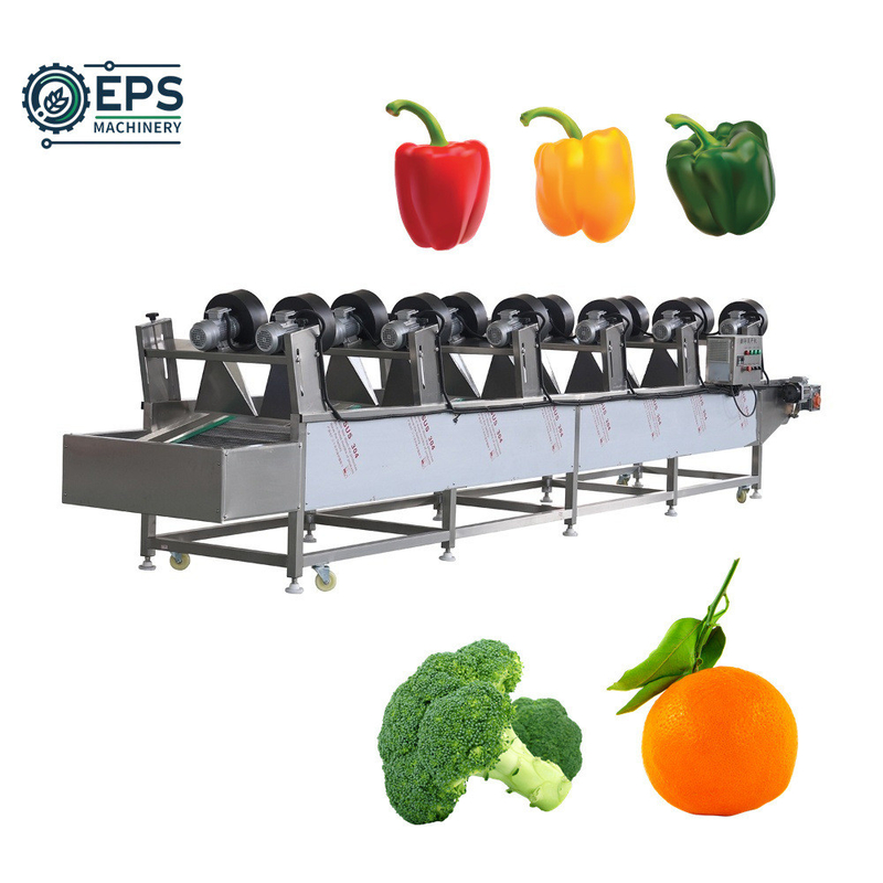 Gemüse- und Obstsalatwaschgeräte mit einer Kapazität von 1500 kg/h und einer Spannung von 110 V bis 380 V